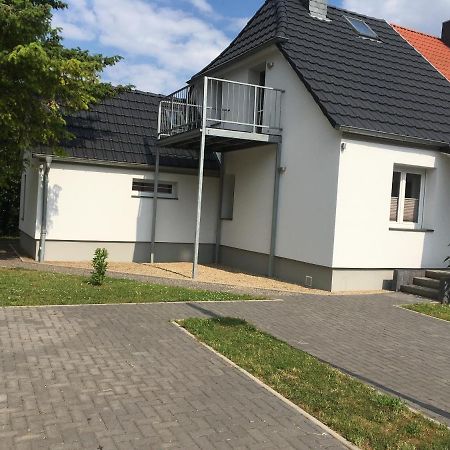 Ferienhaus Am Geiseltalsee Mit Sauna Braunsbedra Εξωτερικό φωτογραφία